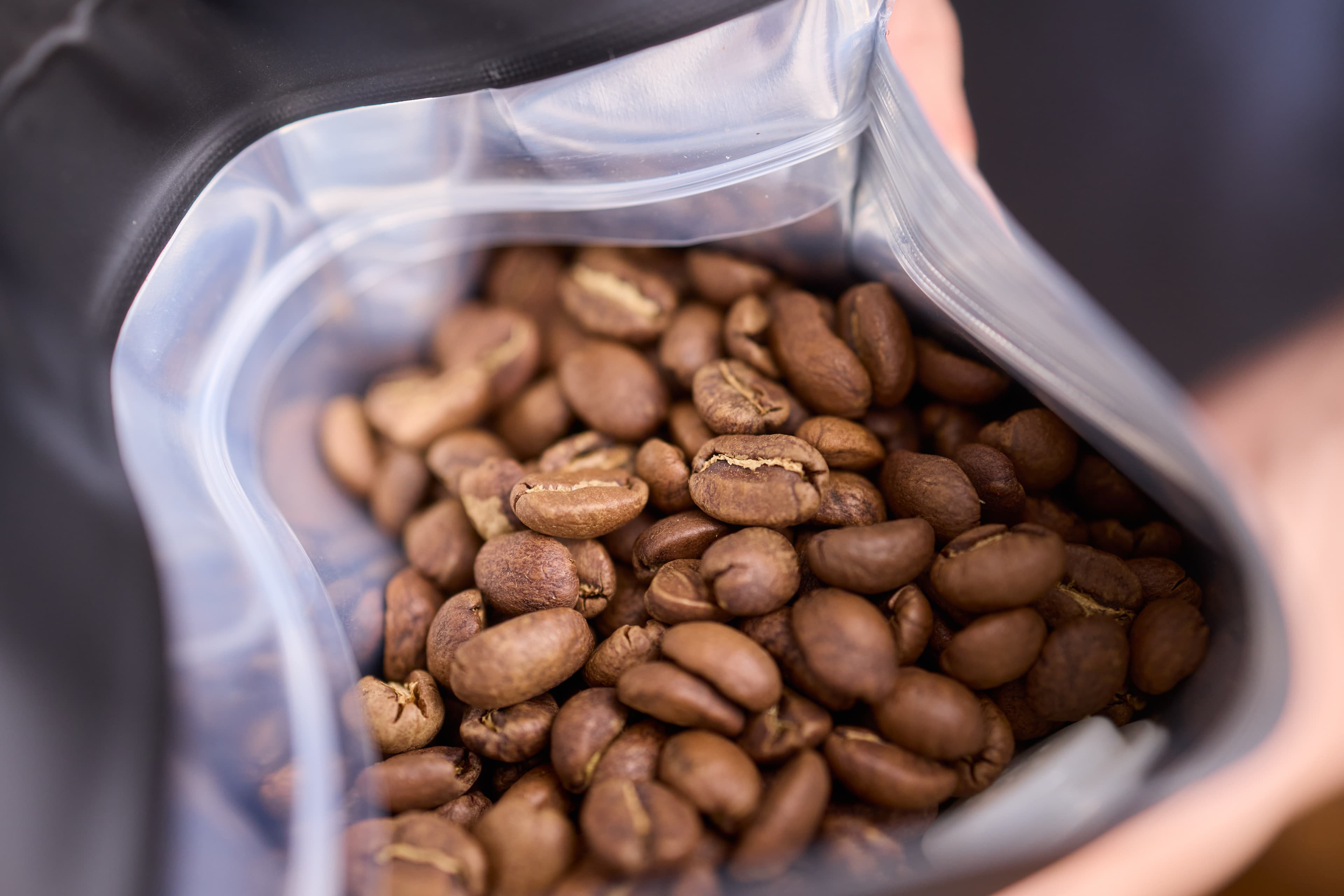 Freshly Roasted Beans